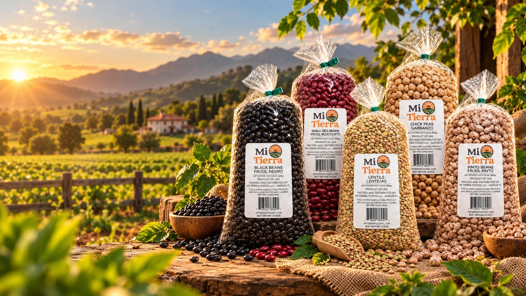 Productos Mi Tierra Foods: frijol negro, frijol rojo corto, lentejas, garbanzo y frijol pinto